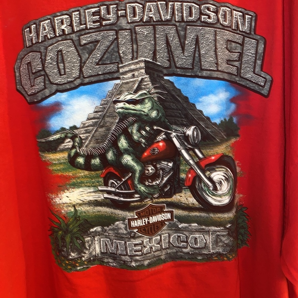 Vintage Harley Davidson Cozumel Mexico Mens Plus Size 4X Tall EUC